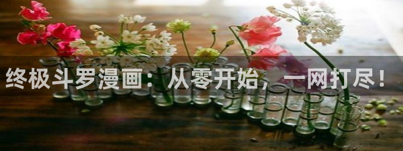 酷漫屋电影在线播放