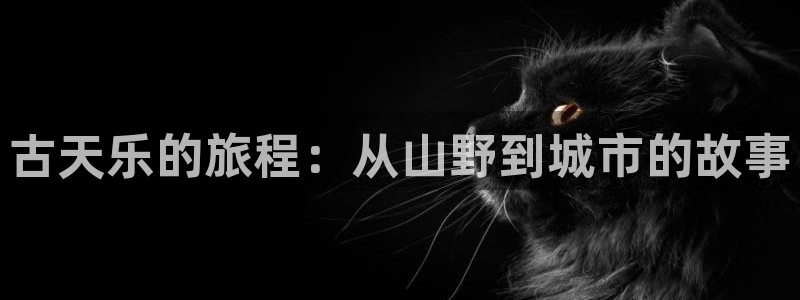 酷漫屋官网