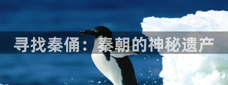 酷漫屋下拉式(免费漫画)官方网：寻找秦俑：秦朝的神秘遗产